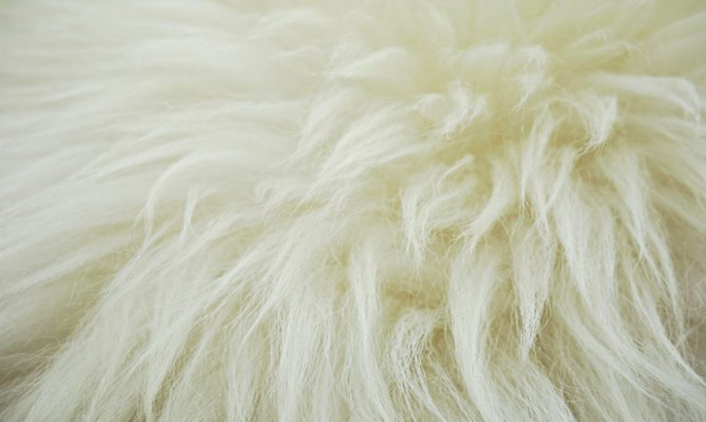 Wool dyeing| How to dye wool fibers?| Wool dyeing steps| Dyes used in wool dyeing 1 1