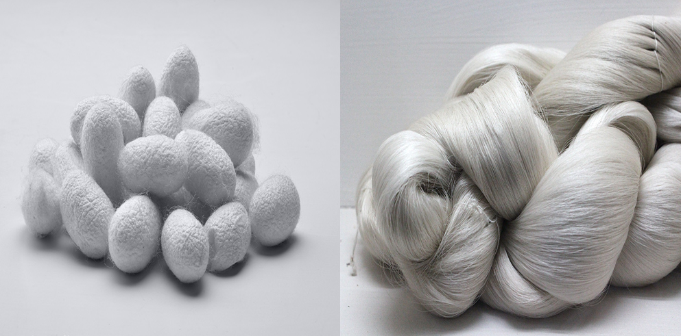 Dyeing of silk fibers | Silk dyeing | Dyeing of protein fibers | How to dye silk? | What are the important dyes of silk dyeing? 1 Capture