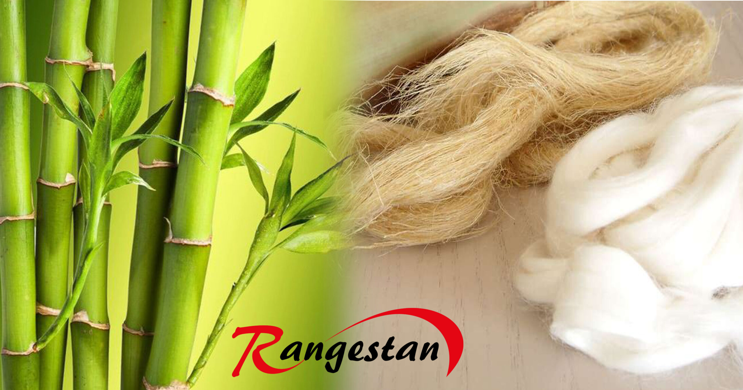 بامبو| الیاف بامبو| الیاف بامبو برای جوراب | ویژگی الیاف بامبو| رنگرزی الیاف بامبو 1 bamboo2 scaled